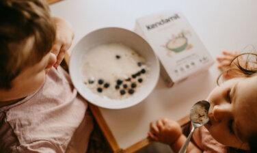 https://www.kendamil.hu/wp-content/uploads/2023/01/Kase-v-detskem-jidelnicku-376x224.jpg