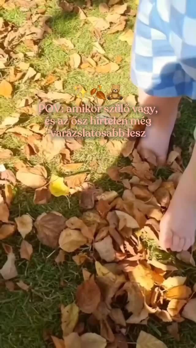 Őszi mód: aktiválva ✔️
Jelöld meg azt, akivel együtt el kell mennetek egy pumpkin spice lattéra 🎃🍂☕🧣🧡